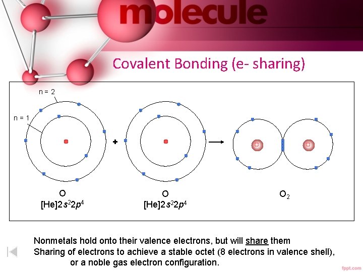 Covalent Bonding (e- sharing) n=2 - - n=1 - - - + - -