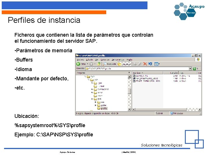 Perfiles de instancia Ficheros que contienen la lista de parámetros que controlan el funcionamiento