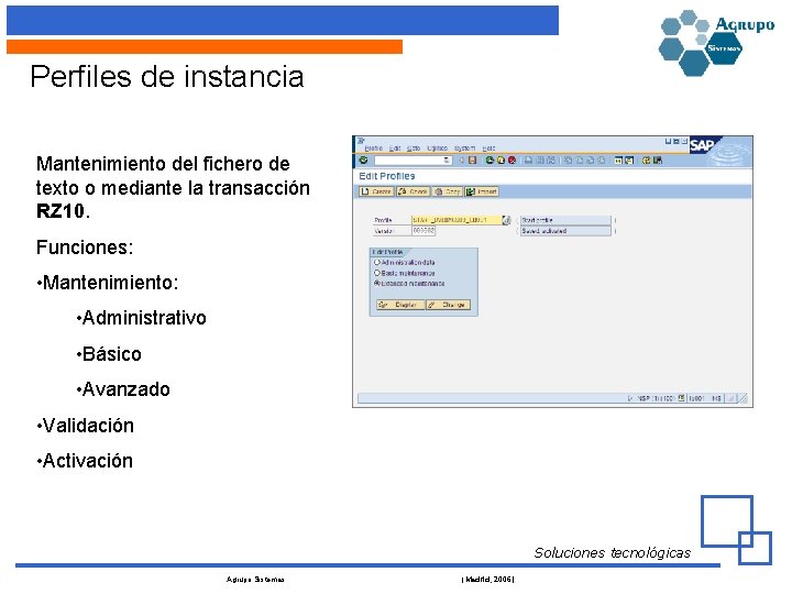 Perfiles de instancia Mantenimiento del fichero de texto o mediante la transacción RZ 10.