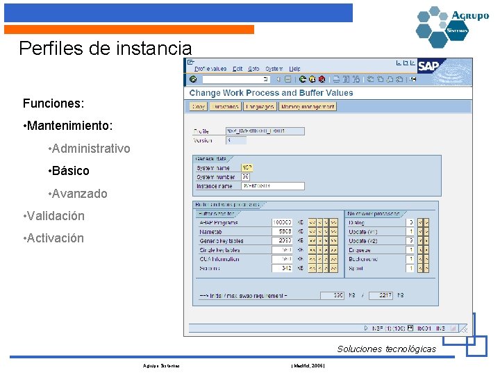 Perfiles de instancia Funciones: • Mantenimiento: • Administrativo • Básico • Avanzado • Validación