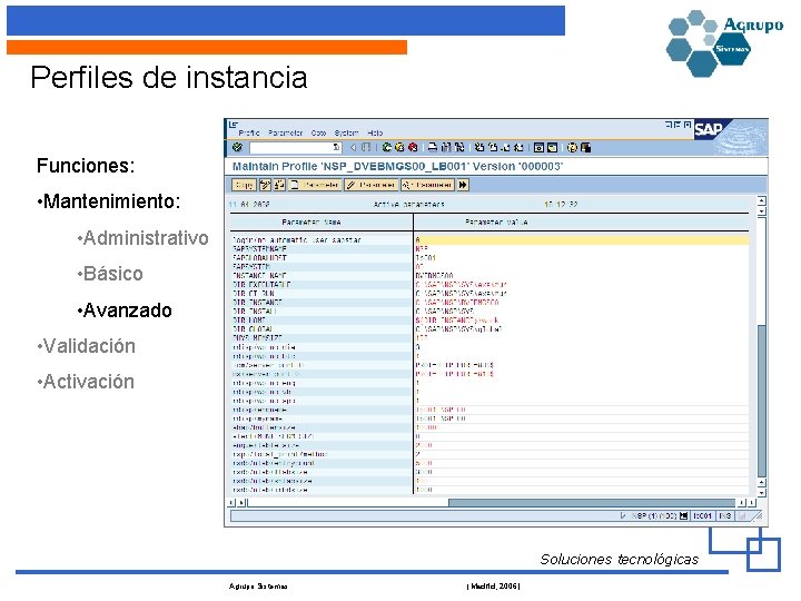 Perfiles de instancia Funciones: • Mantenimiento: • Administrativo • Básico • Avanzado • Validación