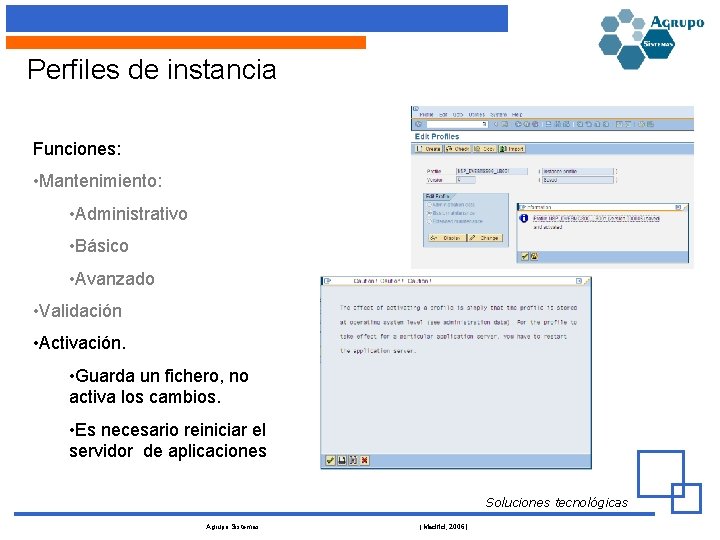 Perfiles de instancia Funciones: • Mantenimiento: • Administrativo • Básico • Avanzado • Validación