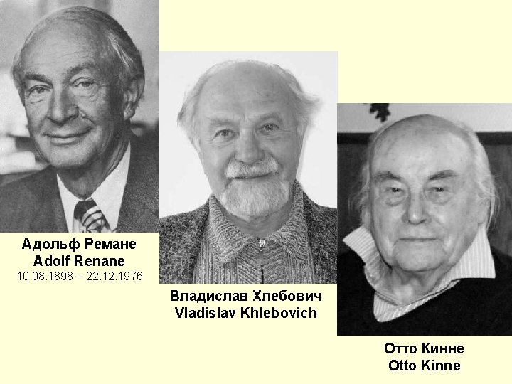 Адольф Ремане Adolf Renane 10. 08. 1898 – 22. 1976 Владислав Хлебович Vladislav Khlebovich