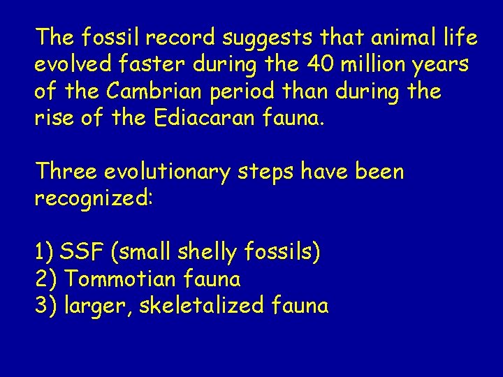 The fossil record suggests that animal life evolved faster during the 40 million years