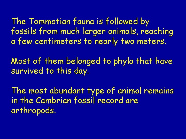 The Tommotian fauna is followed by fossils from much larger animals, reaching a few