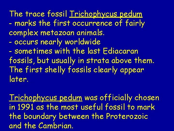 The trace fossil Trichophycus pedum - marks the first occurrence of fairly complex metazoan