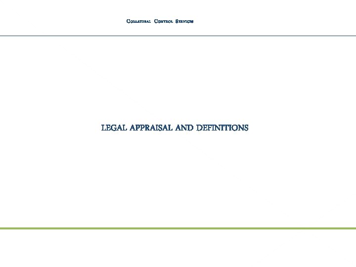C OLLATERAL C ONTROL S ERVICES LEGAL APPRAISAL AND DEFINITIONS 30 