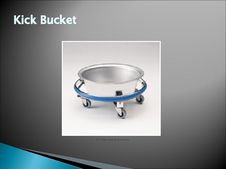 Kick Bucket ©Pedigo, used by permission 