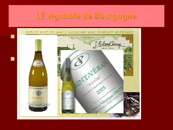 LE vignoble de Bourgogne n Les accords mets et vins : n Les vins