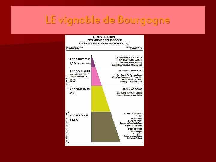 LE vignoble de Bourgogne 