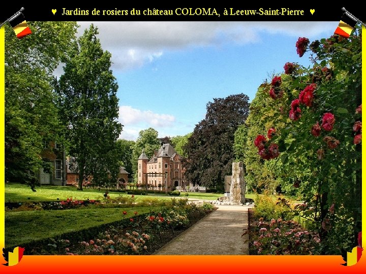 ♥ Jardins de rosiers du château COLOMA, à Leeuw-Saint-Pierre ♥ 