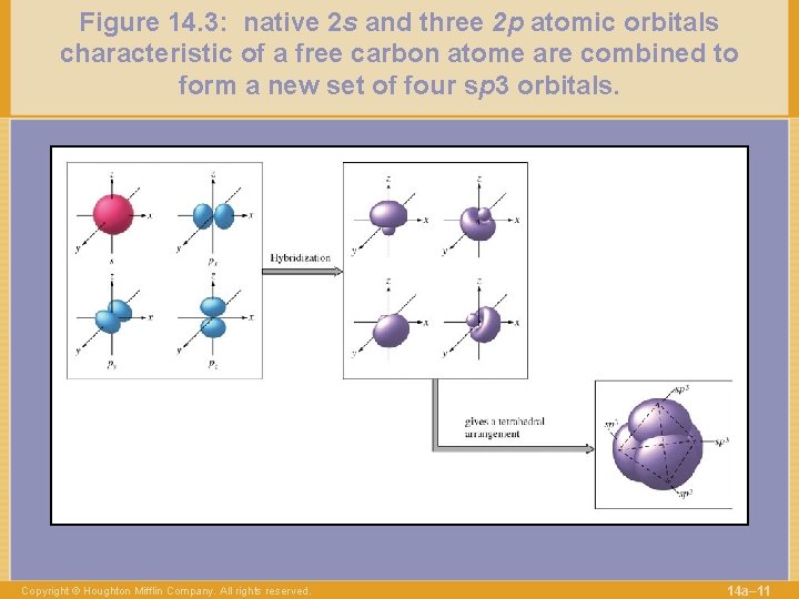 Figure 14. 3: native 2 s and three 2 p atomic orbitals characteristic of