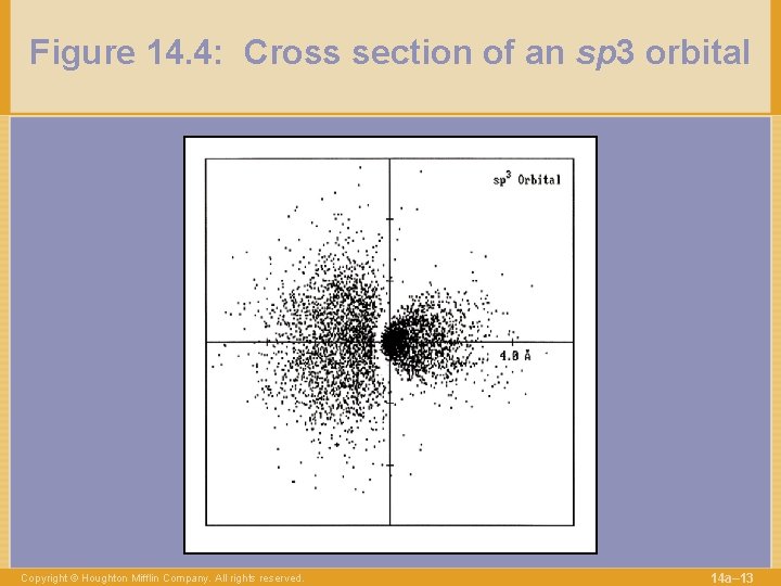 Figure 14. 4: Cross section of an sp 3 orbital Copyright © Houghton Mifflin