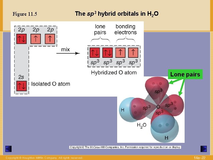 Figure 11. 5 The sp 3 hybrid orbitals in H 2 O Lone pairs