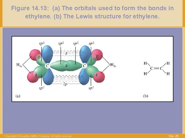 Figure 14. 13: (a) The orbitals used to form the bonds in ethylene. (b)