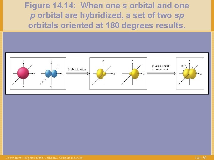 Figure 14. 14: When one s orbital and one p orbital are hybridized, a