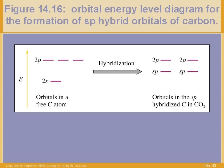 Figure 14. 16: orbital energy level diagram for the formation of sp hybrid orbitals