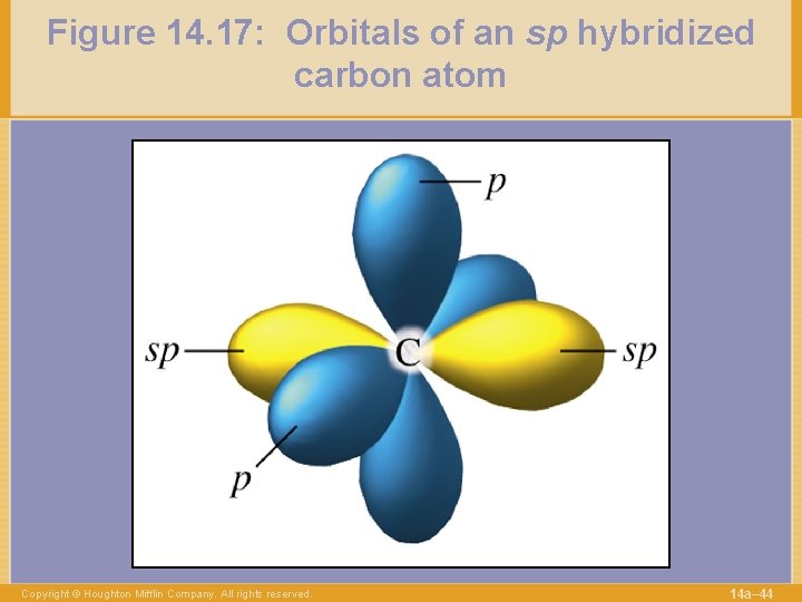 Figure 14. 17: Orbitals of an sp hybridized carbon atom Copyright © Houghton Mifflin