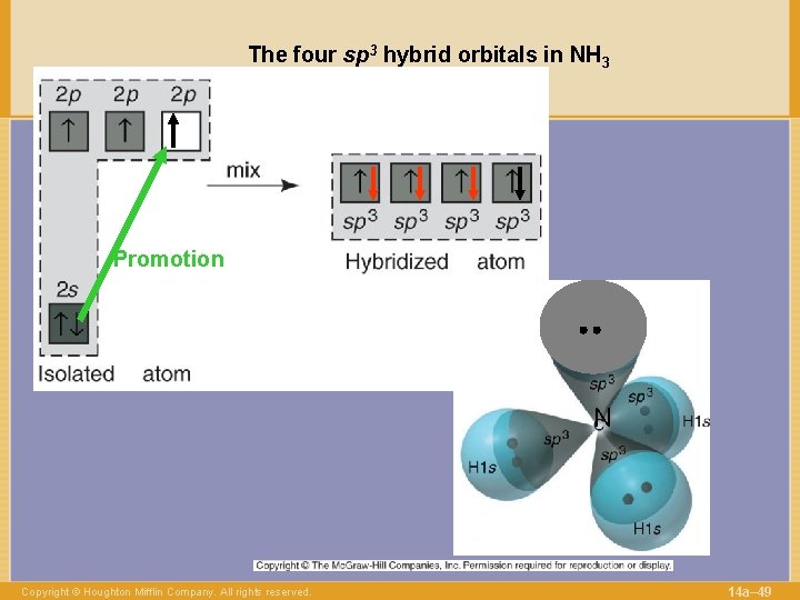 The four sp 3 hybrid orbitals in NH 3 Promotion N Copyright © Houghton