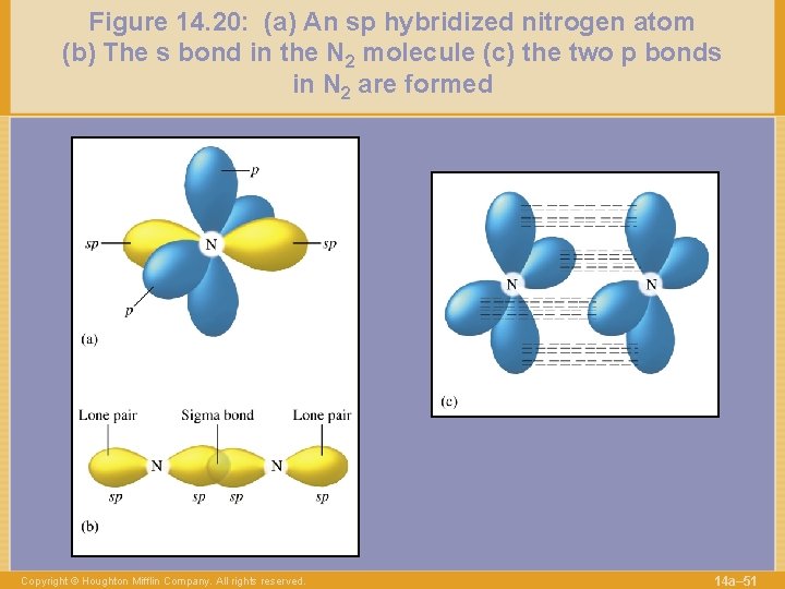 Figure 14. 20: (a) An sp hybridized nitrogen atom (b) The s bond in