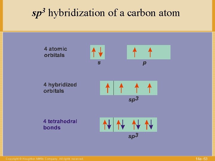 sp 3 hybridization of a carbon atom Copyright © Houghton Mifflin Company. All rights