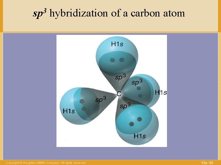 sp 3 hybridization of a carbon atom Copyright © Houghton Mifflin Company. All rights