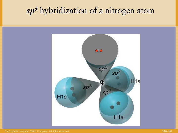 sp 3 hybridization of a nitrogen atom N Copyright © Houghton Mifflin Company. All
