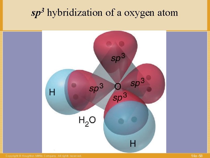 sp 3 hybridization of a oxygen atom Copyright © Houghton Mifflin Company. All rights