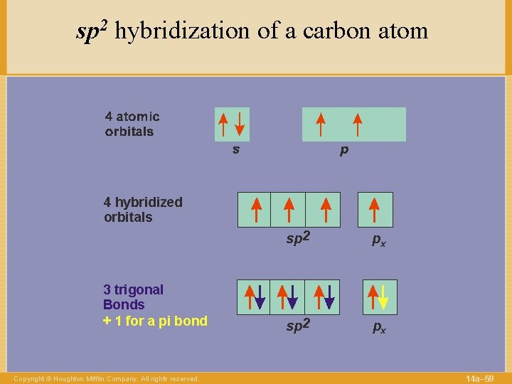sp 2 hybridization of a carbon atom 4 hybridized orbitals 3 trigonal Bonds +