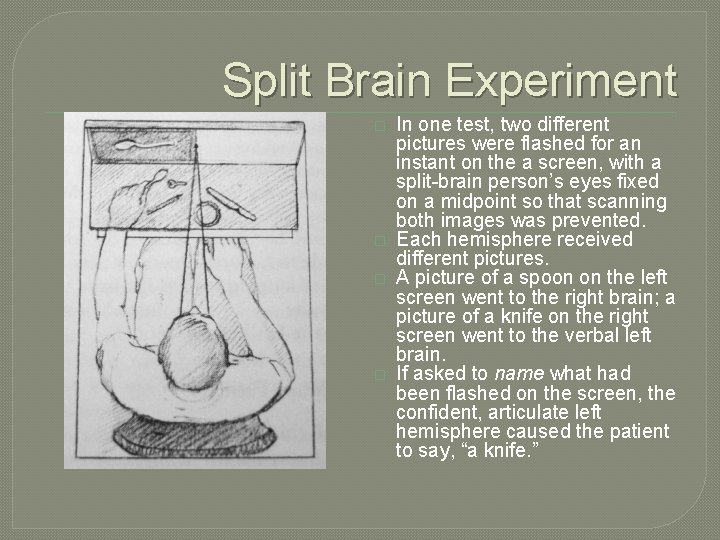 Split Brain Experiment � � In one test, two different pictures were flashed for