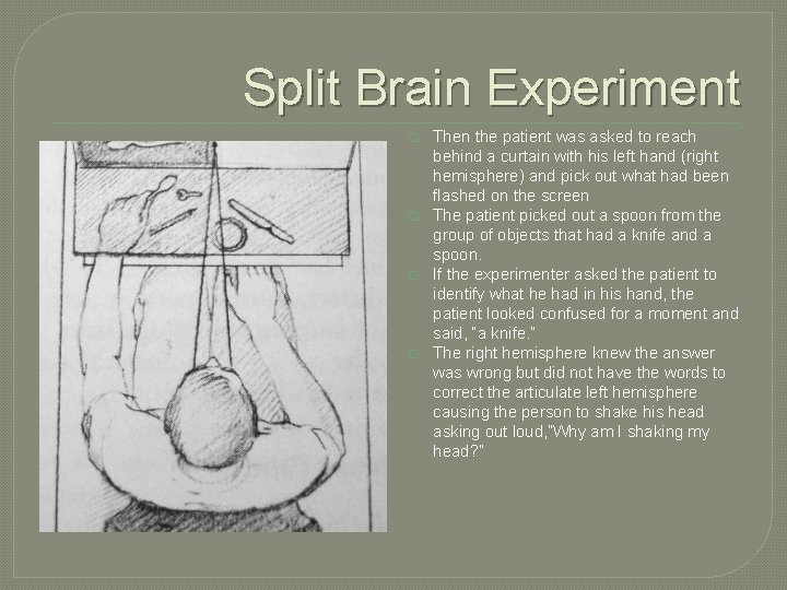 Split Brain Experiment � � Then the patient was asked to reach behind a