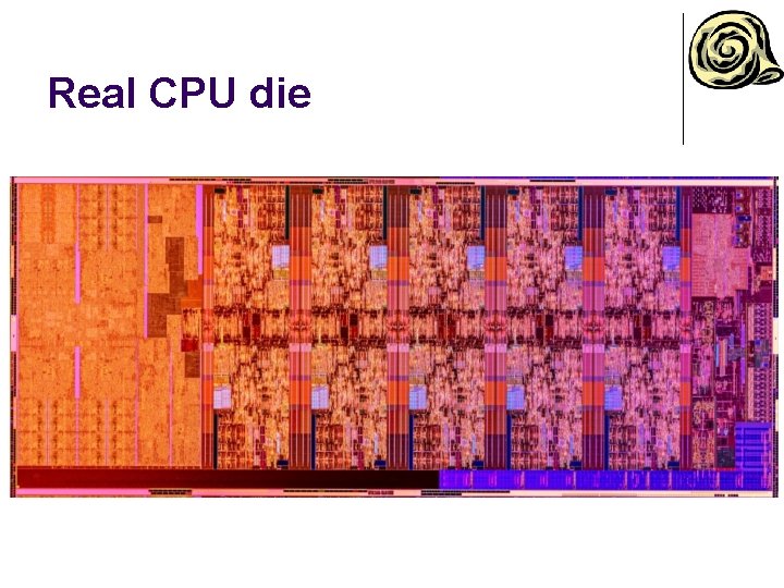 Real CPU die 