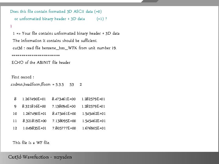 Does this file contain formatted 3 D ASCII data (=0) or unformatted binary header