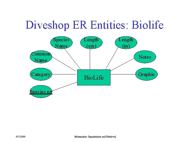 Diveshop ER Entities: Biolife Species Name Length (cm) Common Name Category Notes Bio. Life Diveshop ER Entities: Biolife Species Name Length (cm) Common Name Category Notes Bio. Life