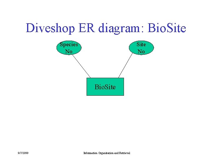 Diveshop ER diagram: Bio. Site Species No Site No Bio. Site 9/7/1999 Information Organization Diveshop ER diagram: Bio. Site Species No Site No Bio. Site 9/7/1999 Information Organization