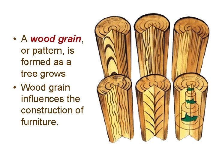  • A wood grain, or pattern, is formed as a tree grows •