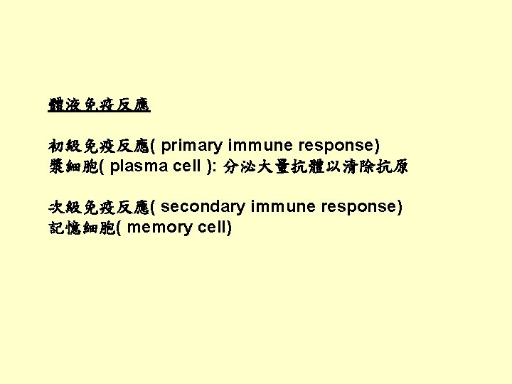 體液免疫反應 初級免疫反應( primary immune response) 漿細胞( plasma cell ): 分泌大量抗體以清除抗原 次級免疫反應( secondary immune response)
