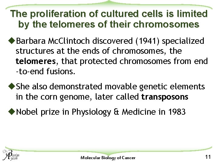 The proliferation of cultured cells is limited by the telomeres of their chromosomes u.