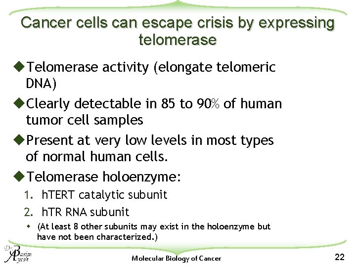 Cancer cells can escape crisis by expressing telomerase u. Telomerase activity (elongate telomeric DNA)