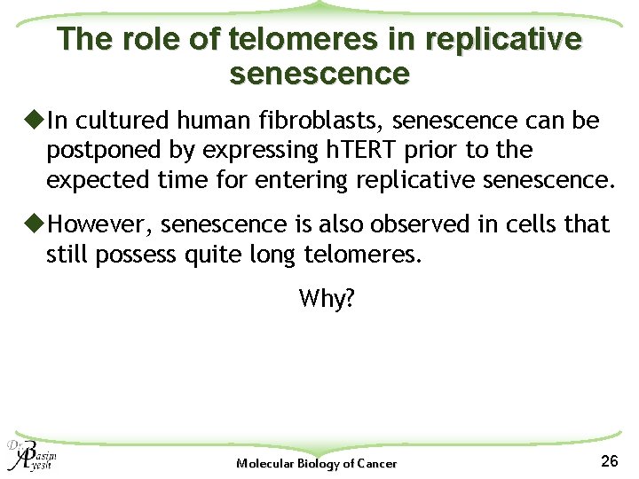 The role of telomeres in replicative senescence u. In cultured human fibroblasts, senescence can