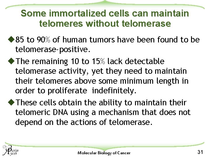 Some immortalized cells can maintain telomeres without telomerase u 85 to 90% of human