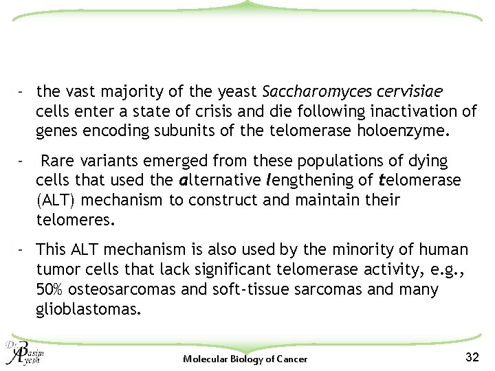 - the vast majority of the yeast Saccharomyces cervisiae cells enter a state of