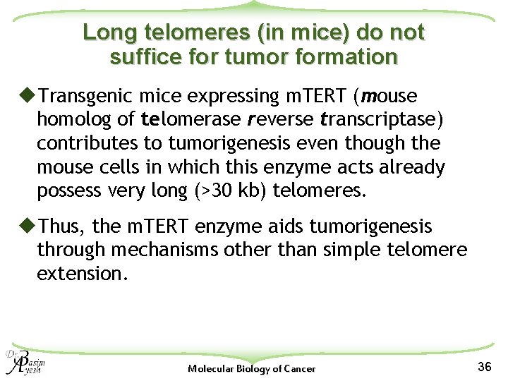 Long telomeres (in mice) do not suffice for tumor formation u. Transgenic mice expressing