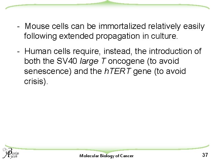 - Mouse cells can be immortalized relatively easily following extended propagation in culture. -