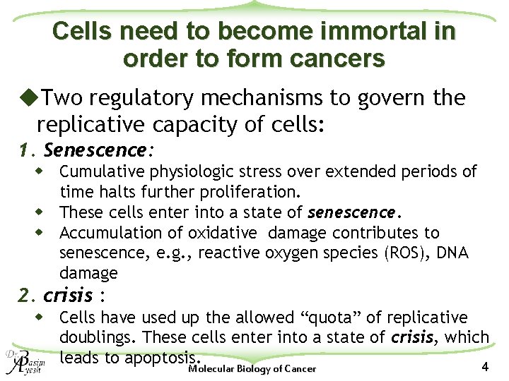 Cells need to become immortal in order to form cancers u. Two regulatory mechanisms