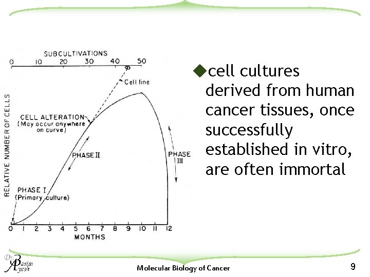 ucell cultures derived from human cancer tissues, once successfully established in vitro, are often