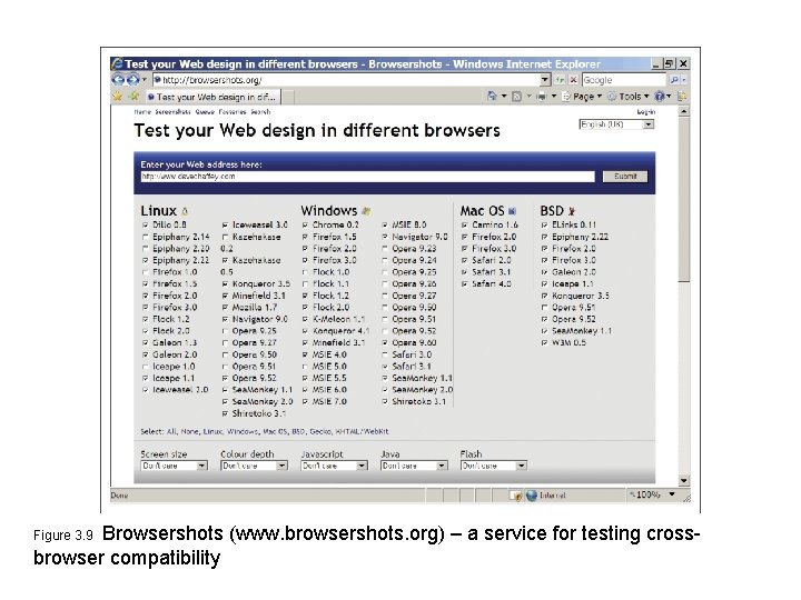 Browsershots (www. browsershots. org) – a service for testing crossbrowser compatibility Figure 3. 9