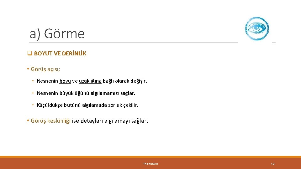 a) Görme q BOYUT VE DERİNLİK • Görüş açısı; • Nesnenin boyu ve uzaklığına