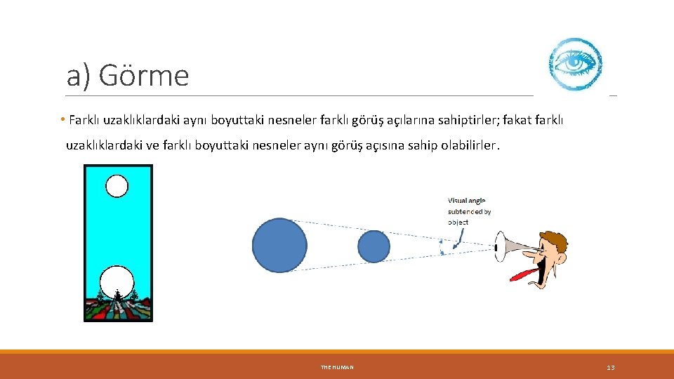 a) Görme • Farklı uzaklıklardaki aynı boyuttaki nesneler farklı görüş açılarına sahiptirler; fakat farklı