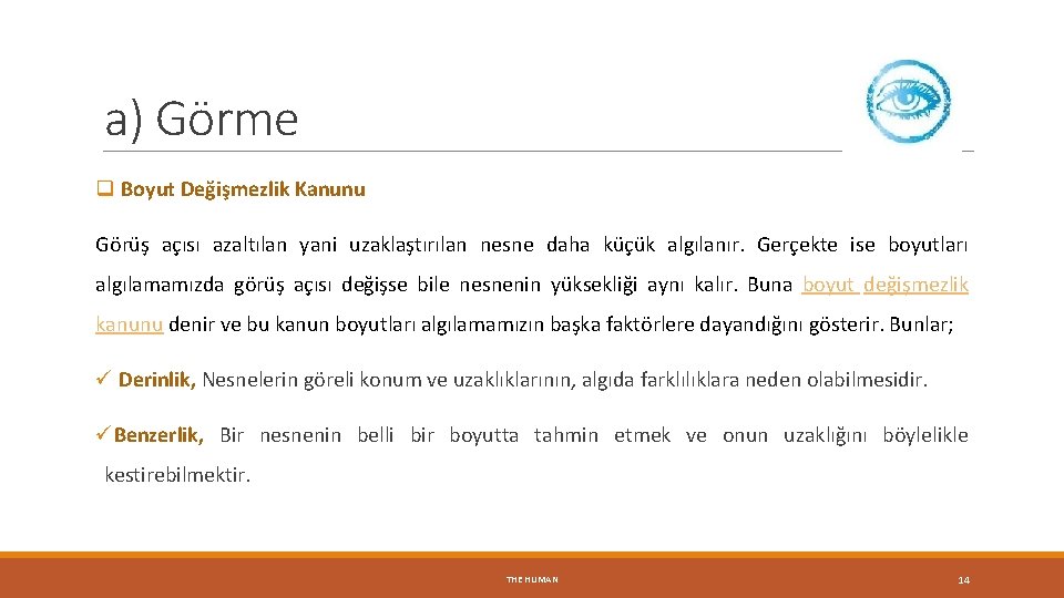 a) Görme q Boyut Değişmezlik Kanunu Görüş açısı azaltılan yani uzaklaştırılan nesne daha küçük